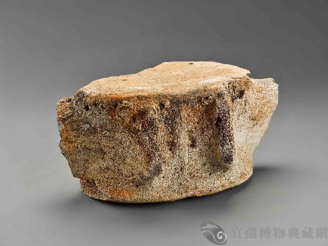 鯨魚骨藏品圖，第1張