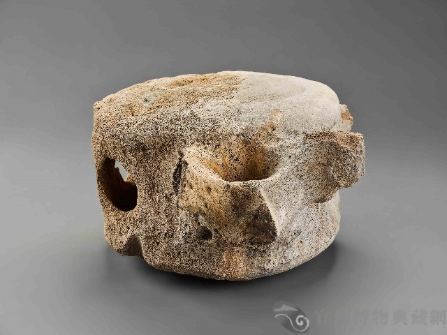 鯨魚骨藏品圖，第1張