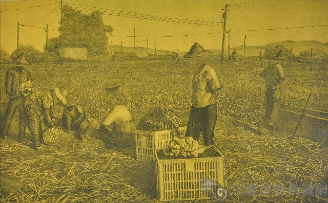 浮線1藏品圖，第1張