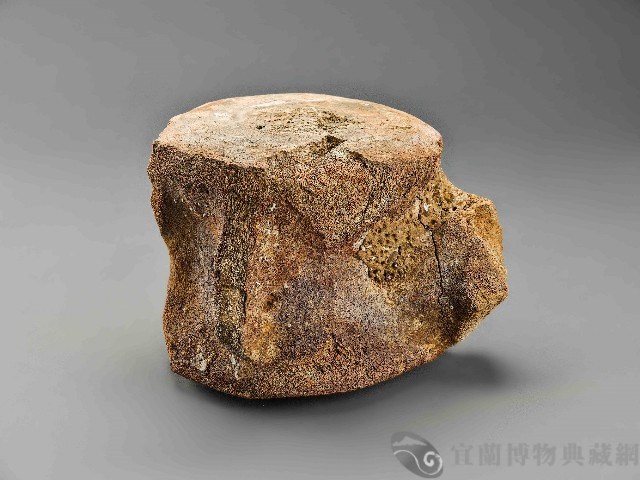 鯨魚骨藏品圖，第1張