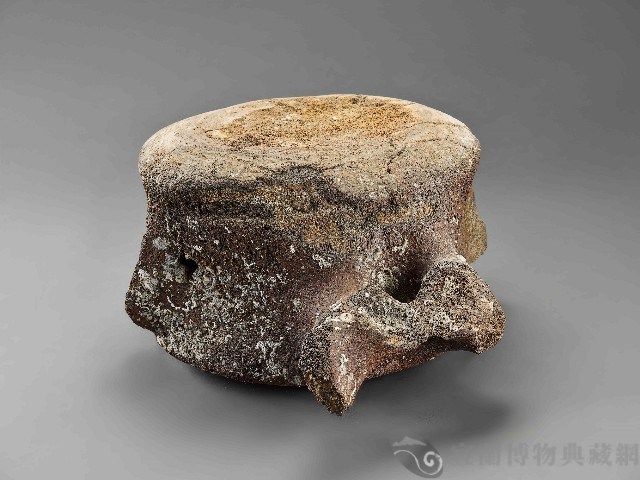 鯨魚骨藏品圖，第1張