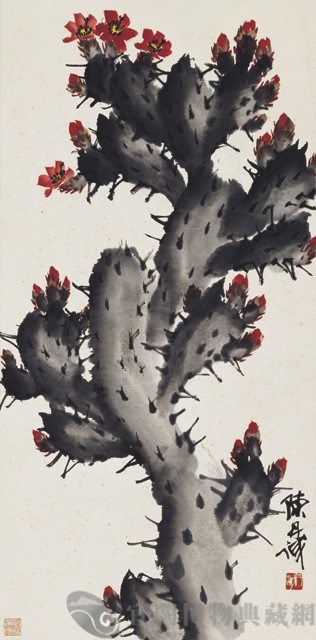 仙人掌藏品圖，第1張