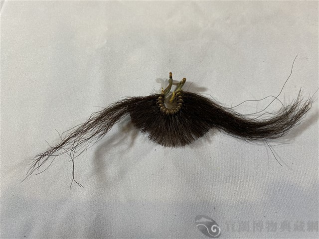 鼻毛藏品圖，第1張