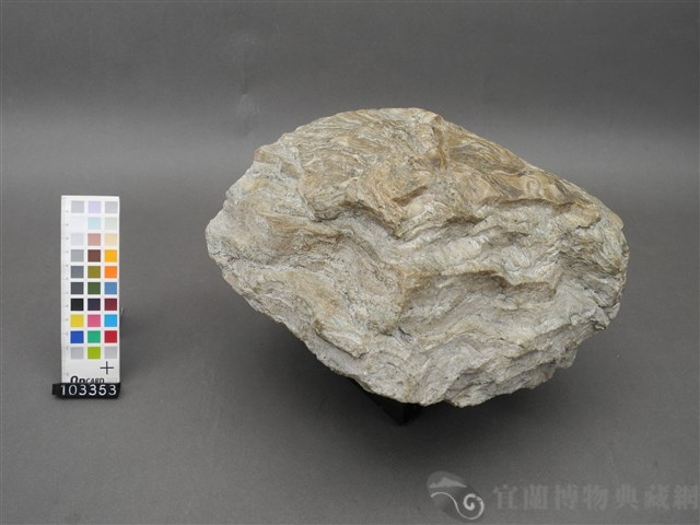 矽質片岩藏品圖，第4張