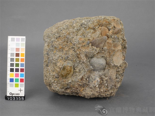 礫岩藏品圖，第4張
