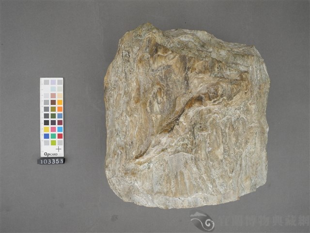 矽質片岩藏品圖，第5張