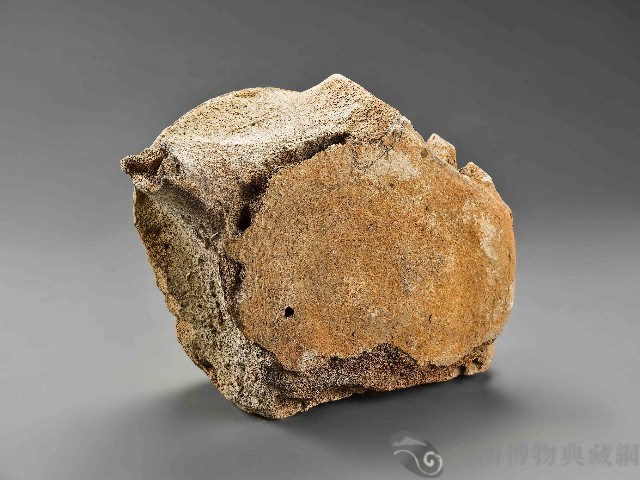鯨魚骨藏品圖，第2張