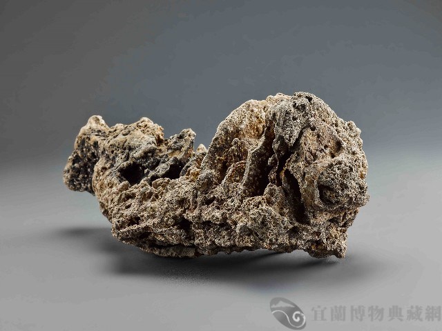 珊瑚礁石藏品圖，第2張