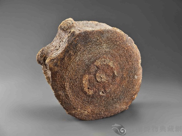 鯨魚骨藏品圖，第2張