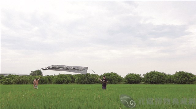 耕作一塊可以賣的地藏品圖，第2張