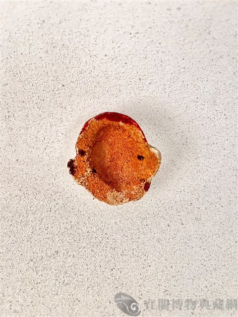 土黏香面具藏品圖，第2張