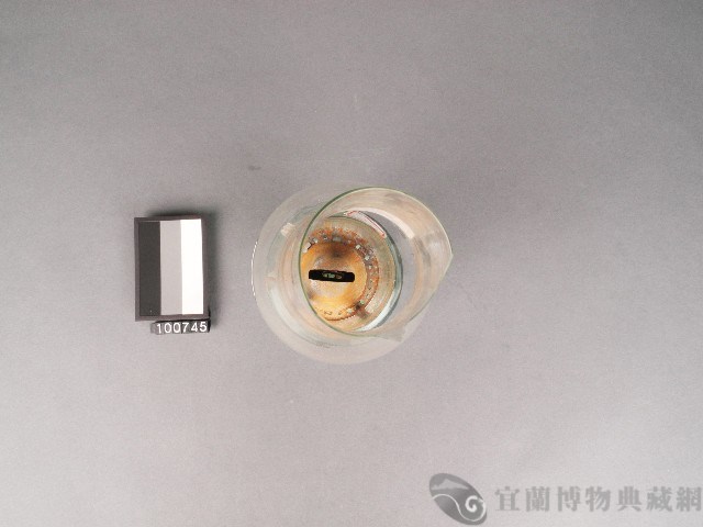 油燈(玻璃)藏品圖，第2張