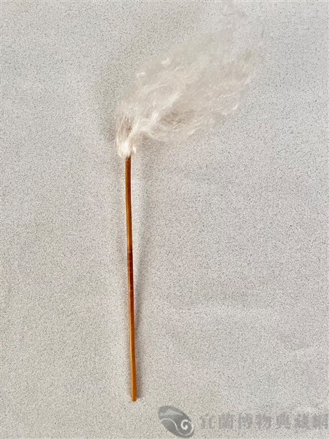 傀儡拂塵藏品圖，第2張