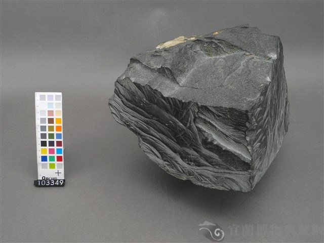 角閃岩藏品圖，第2張