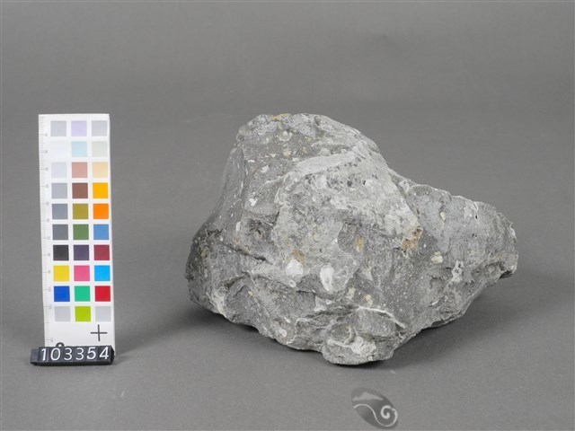 火山岩石「流紋岩」藏品圖，第2張