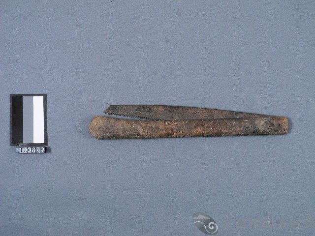 鋸子藏品圖，第2張