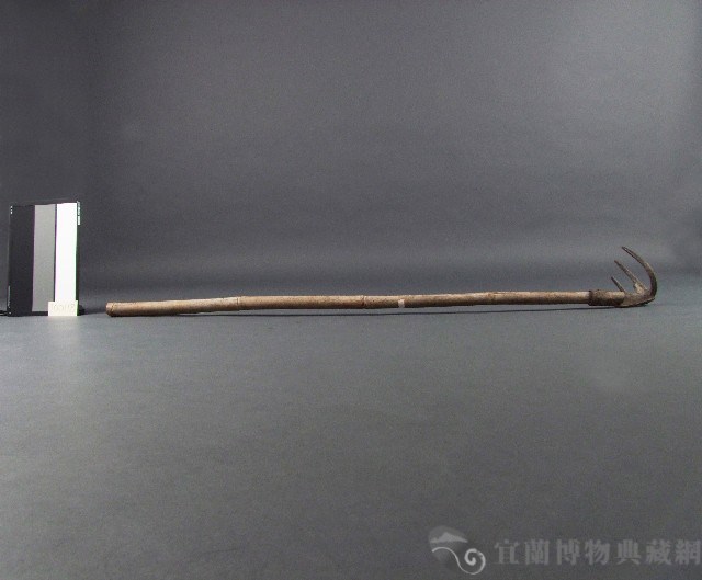 三齒耙仔藏品圖，第2張