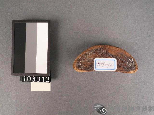 筶藏品圖，第1張