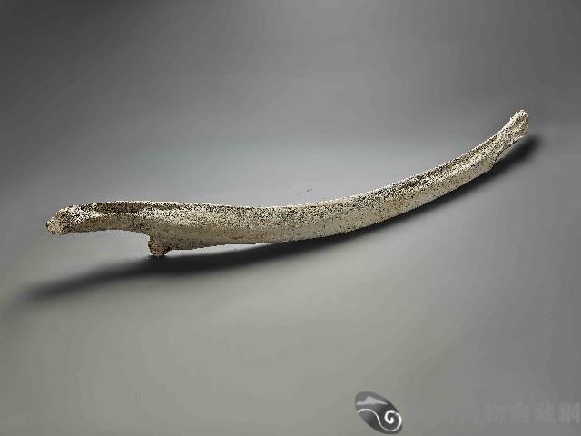 鯨魚骨藏品圖，第1張