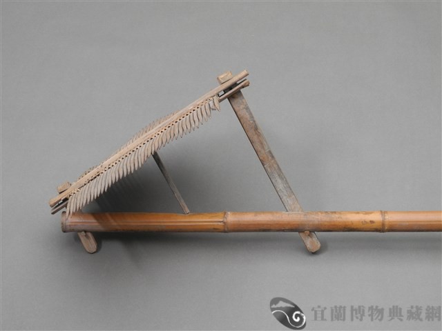 蟲梳藏品圖，第3張