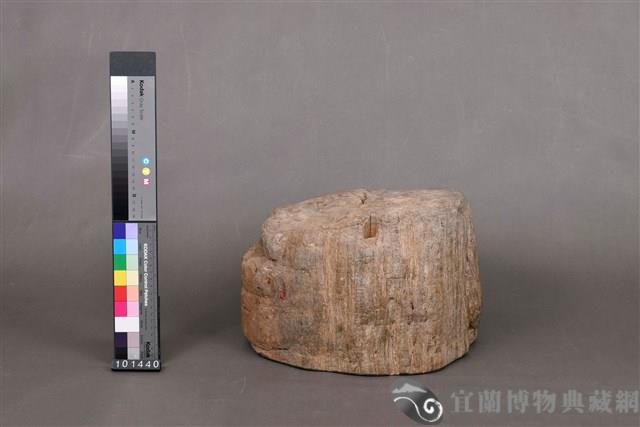 木化石藏品圖，第3張