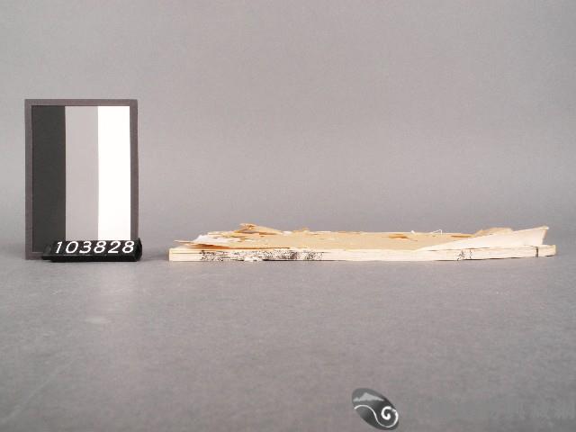 漁洋(山人)精華錄卷一藏品圖，第3張