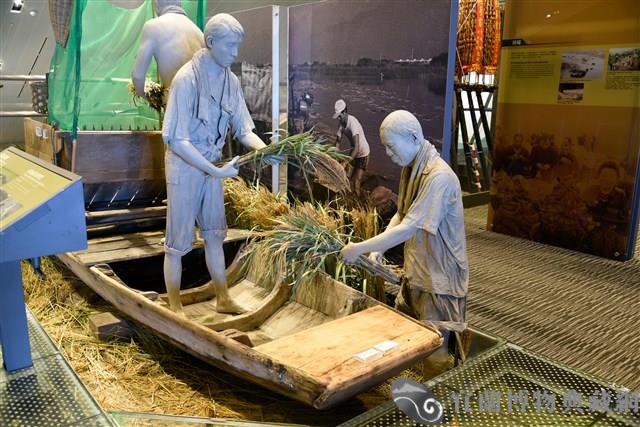 鴨母船藏品圖，第3張