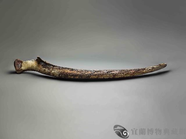 鯨魚骨藏品圖，第1張