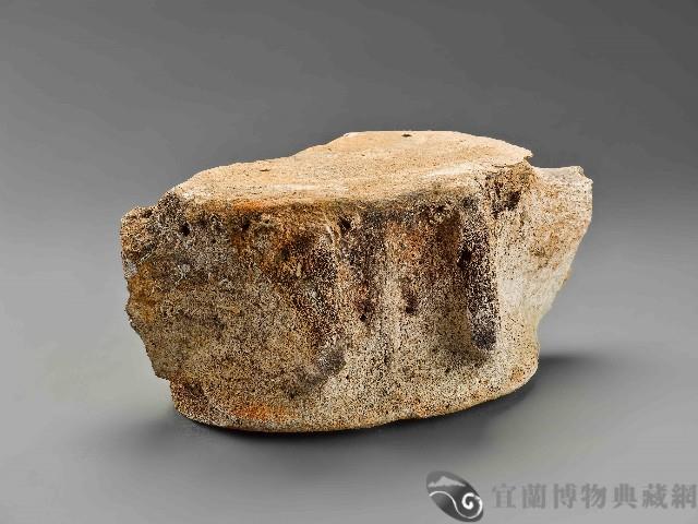 鯨魚骨藏品圖，第1張