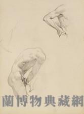 素描 男體素描藏品圖，第1張