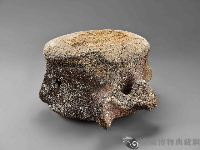 鯨魚骨藏品圖，第1張