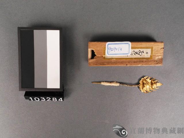 金花(鉚)藏品圖，第1張