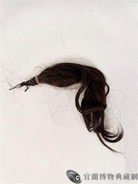 髮束藏品圖，第1張