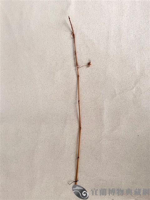 傀儡切末（釣魚竿）藏品圖，第1張