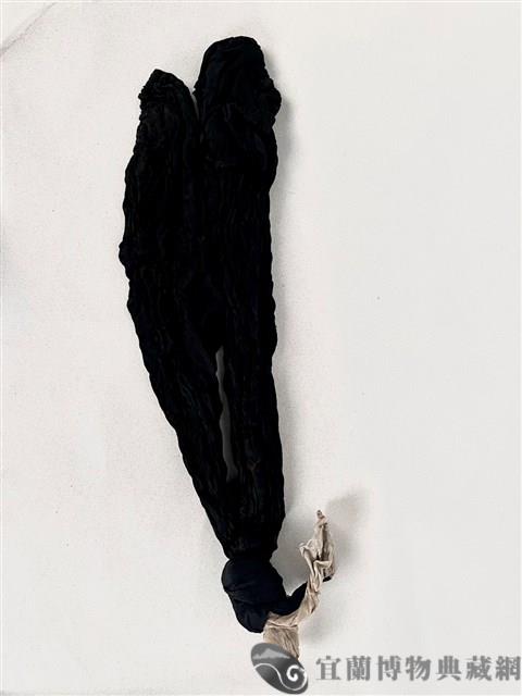 屍首藏品圖，第1張