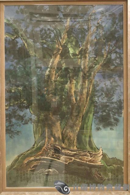 老樹群二葉松苦楝櫸木藏品圖，第1張