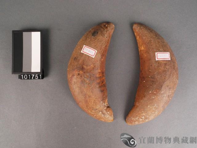 竹杯筊藏品圖，第1張