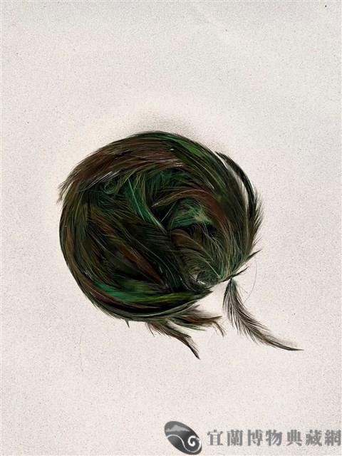 雞毛戴藏品圖，第1張