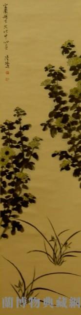 蘭菊藏品圖，第1張