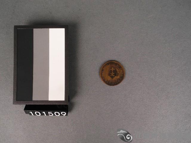 古錢(開國紀念幣)藏品圖，第1張