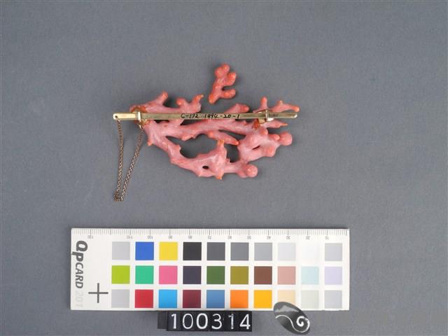 珊瑚飾品藏品圖，第4張