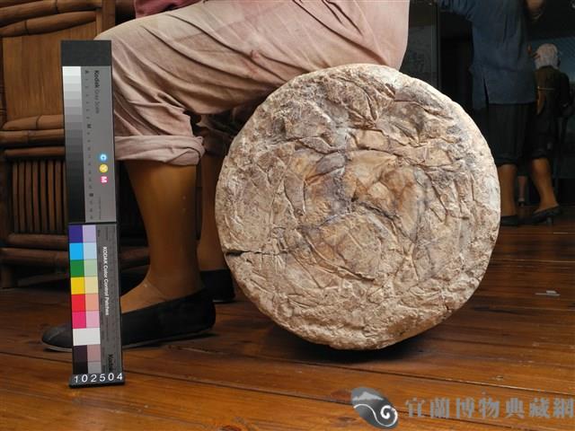水泥桶塊藏品圖，第4張