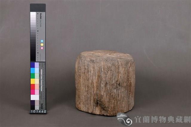 木化石藏品圖，第4張