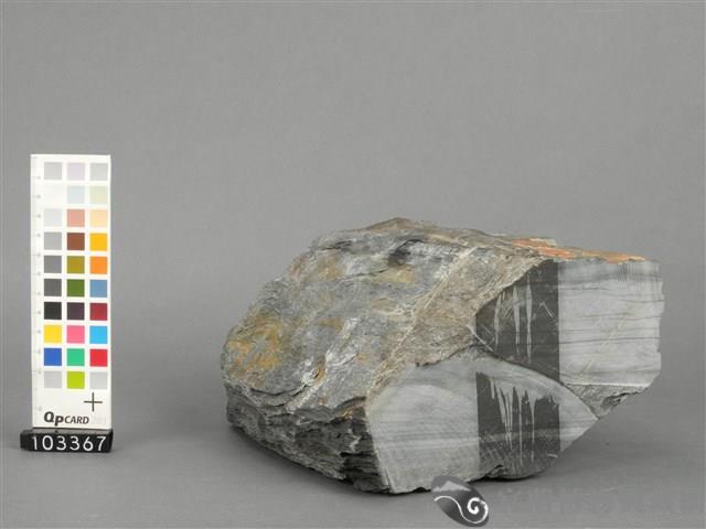 板岩藏品圖，第5張