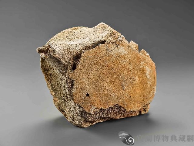 鯨魚骨藏品圖，第2張