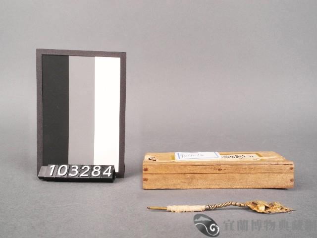 金花(鉚)藏品圖，第2張