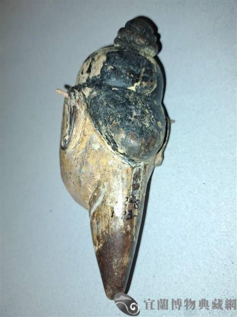 魁儡偶頭藏品圖，第2張