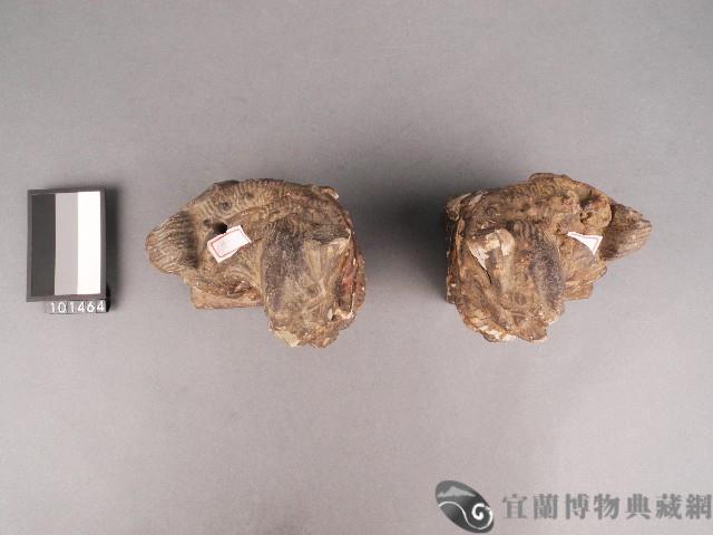 石獅藏品圖，第2張