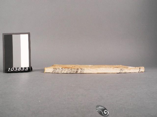 漁洋(山人)精華錄卷九.十藏品圖，第2張