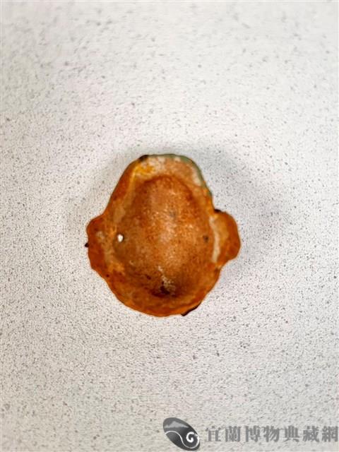 土黏香面具藏品圖，第2張